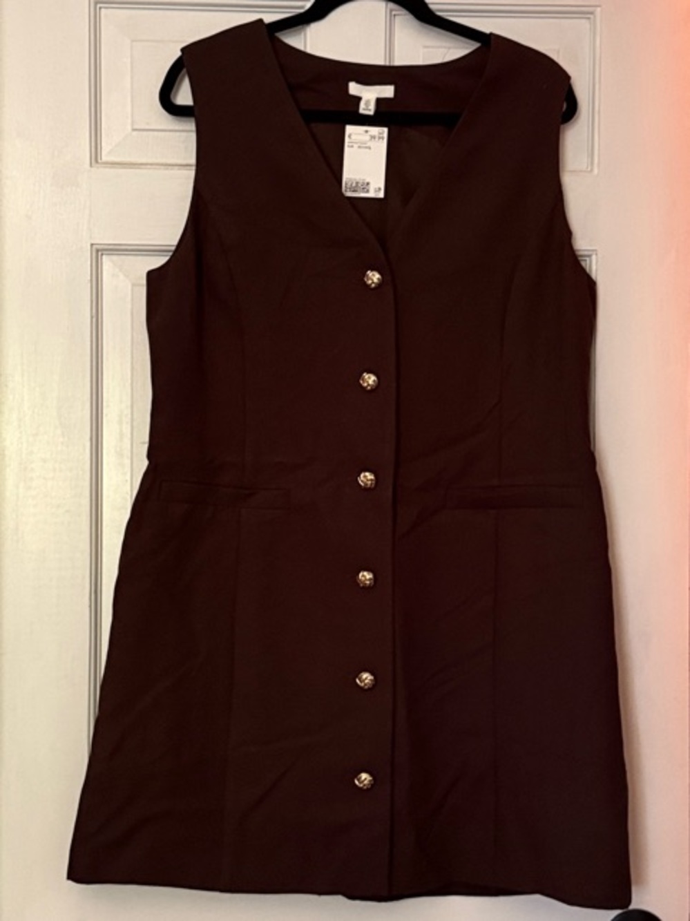 H&M Brown Sleeveless Button-Front Shift Dress